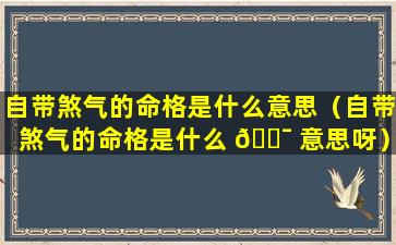 自带煞气的命格是什么意思（自带煞气的命格是什么 🐯 意思呀）